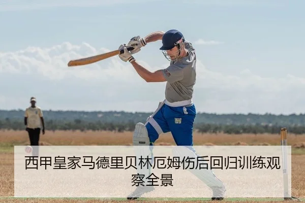 西甲皇家马德里贝林厄姆伤后回归训练观察全景